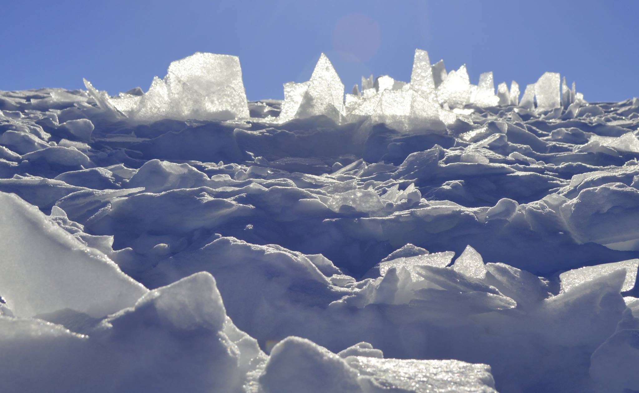Eiskristalle glitzern in der Sonne Eiskristalle glitzern in der Sonne