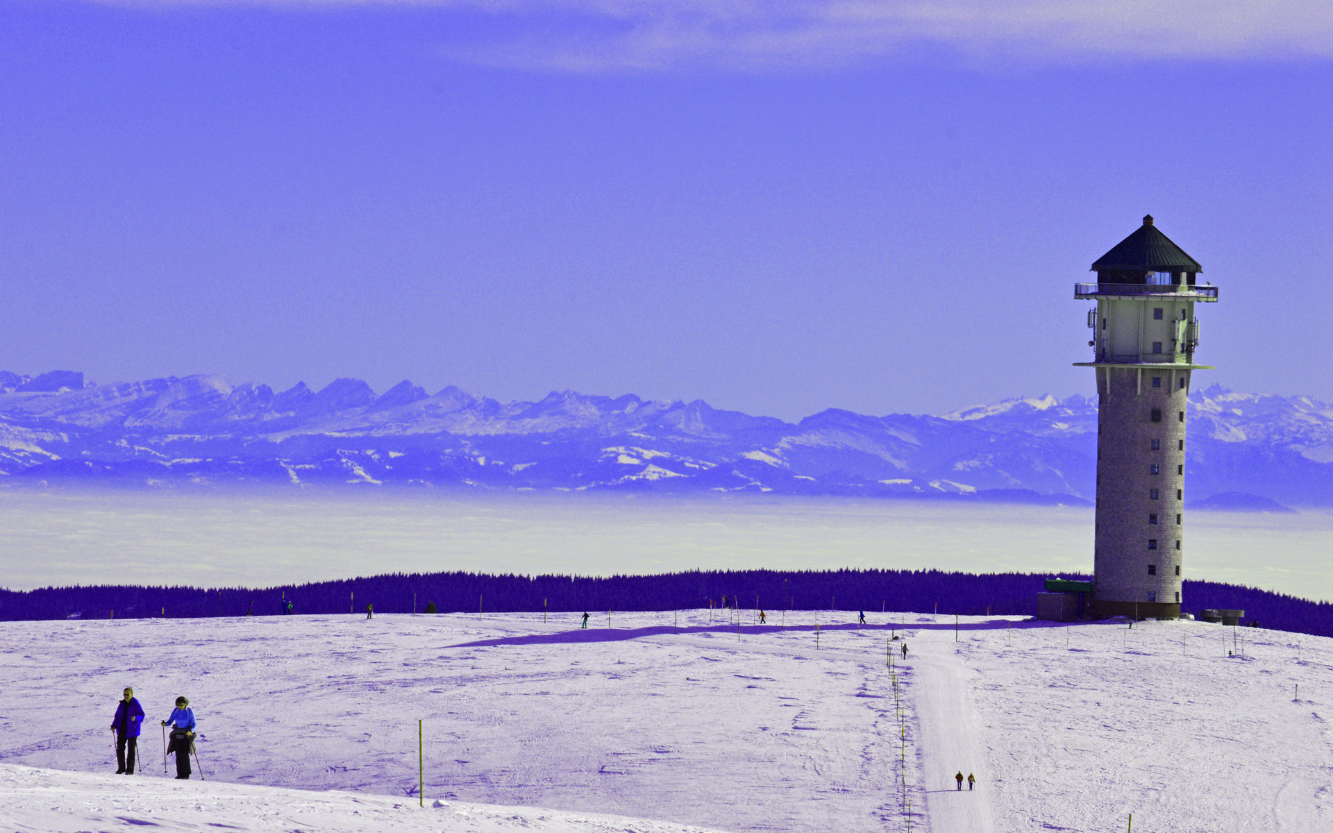  Feldberg im Winter mit Alpenblick