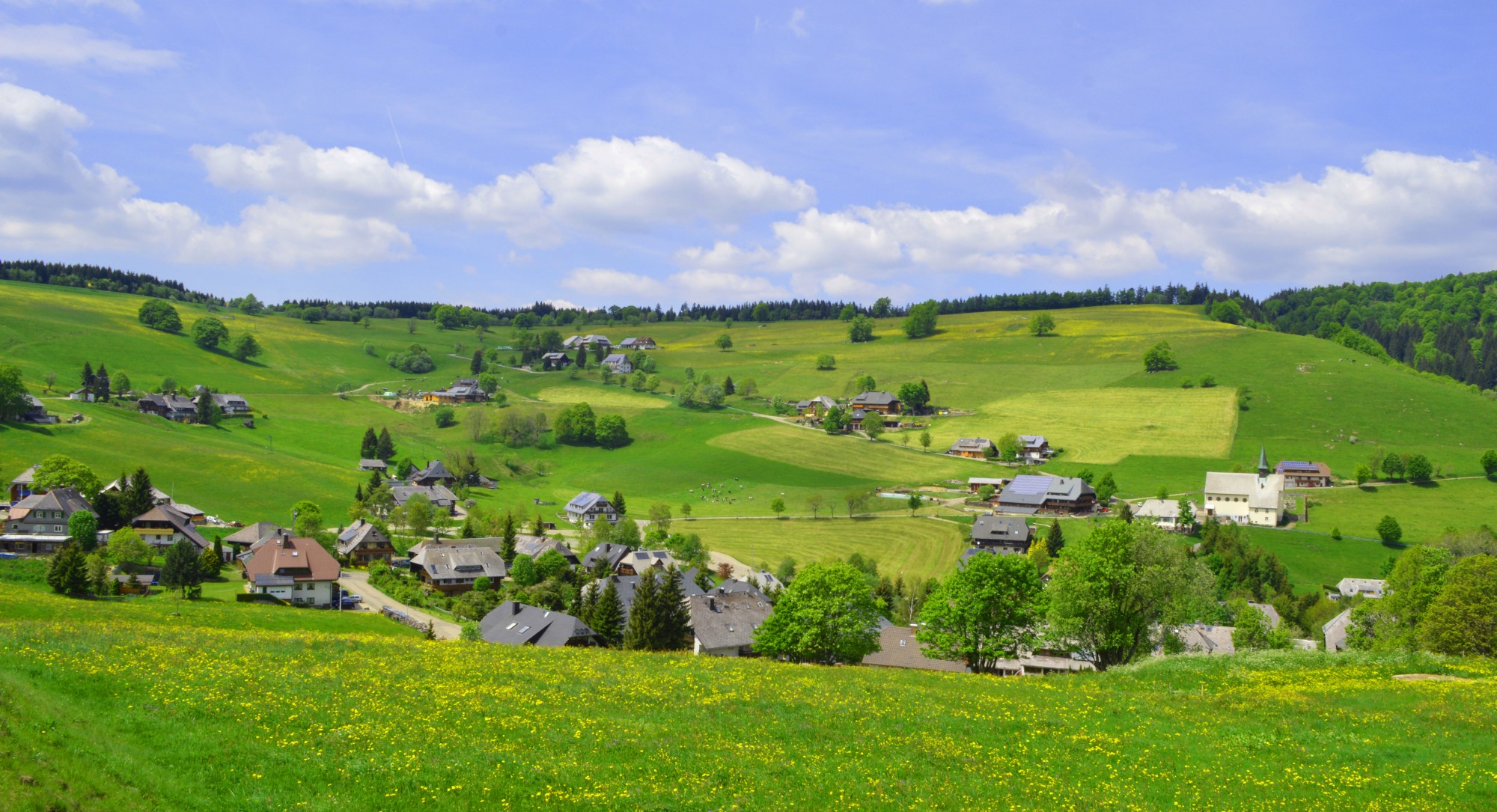 Landschaftsbild - Hochschwarzwald