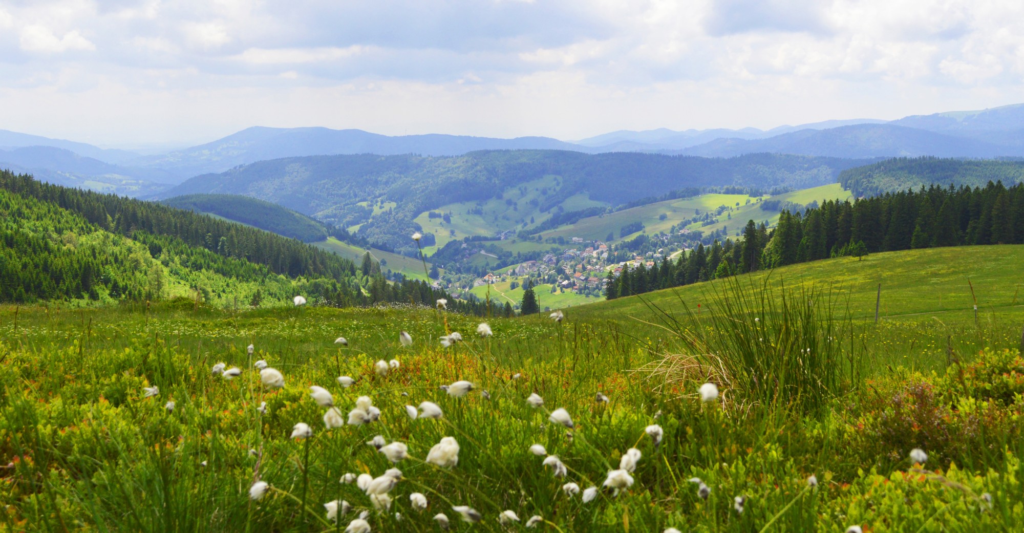 Schwarzwald - Daheim im schönen Schuttertal