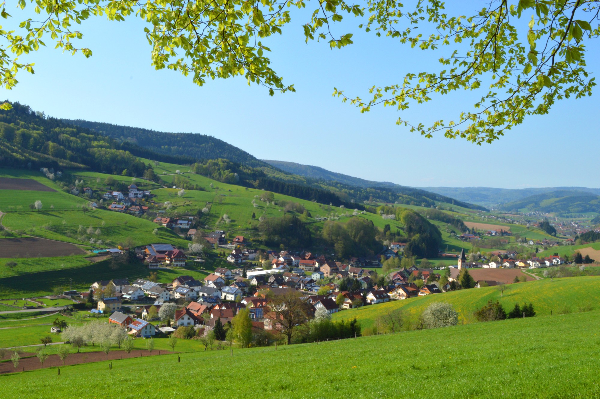 Schwarzwald - Daheim im schönen Schuttertal